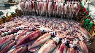 Fishermen Catch Millions Of Giant Squid This Way  Japanese Chef Cuts And Prepares Giant Squid [upl. by Sherborn]