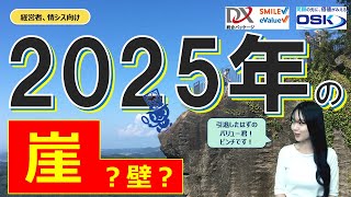 やさしく解説「2025年の崖」？「2025年の壁」？ [upl. by Neetsirhc]