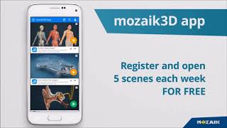 mozaik3D app [upl. by Ahseal]