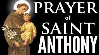 Powerful Prayer to Saint Anthony [upl. by Nysa]