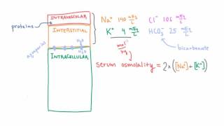 Estimating Serum Osmolality using a Simple Formula [upl. by Heng]