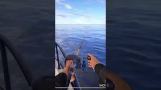 Russian fishing 4 nordmeer 34m spot ganze Video auf kanal [upl. by Jed]