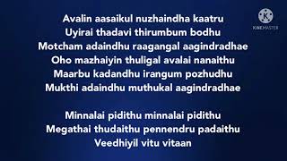 Minnale Pidithu song lyrics song by Unni Menon [upl. by Eatnom]