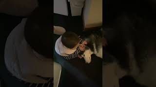 220 Give a Mocha facial massage husky baby [upl. by Julina]