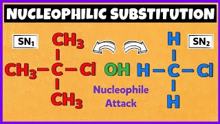 Nucleophilic Substitution Reactions  SN1 Reaction and SN2 Reaction [upl. by Ocsirf]