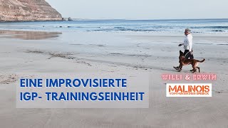 IGP Training Es muss nicht immer der Hundeplatz sein IGP Malinoistraining [upl. by Ecnarwal435]