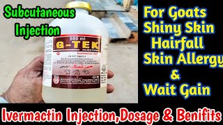 Ivermectin injection  Goat skin disease treatment  khaal me injection lagane ka tarika [upl. by Winsor]