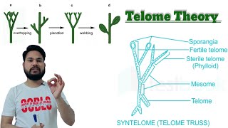 Telome Theory  what is Telome Theory टेलोम सिद्धांत क्या हैं  BY SKDIGRAWAL telometheory [upl. by Alice]