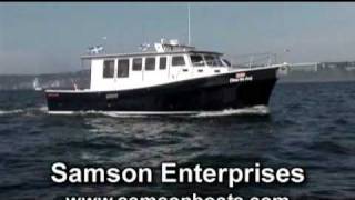 Samson Enterprises [upl. by Anide]