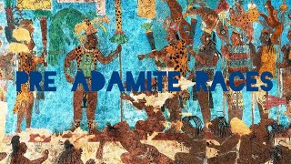 Truth About The American “Negro” Pt 2 The Pre Adamite Races [upl. by Arimahs67]