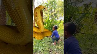 Anaconda snake in real life P7shorts short snake nagin python anaconda snakes bigsnake [upl. by Rustice]