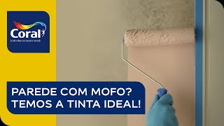 Coral Renova  Limpar o mofo Não complica [upl. by Tocci]