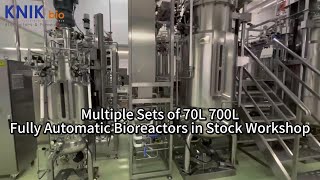 Multiple Sets of 70L 700L Fully Automatic Bioreactors in Stock Workshop bioreactor fermenter [upl. by Beatriz811]