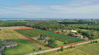 Farm for Sale  8 acre Vineyard in Beamsville Ontario [upl. by Gehlbach589]