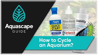 AquascapeGuide  How to Cycle an Aquarium [upl. by Sisely659]