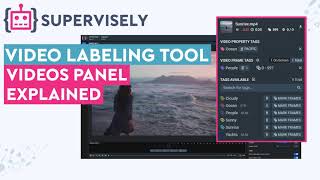 Videos Panel Explained Video Labeling Tool [upl. by Liesa]