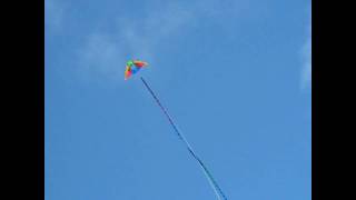 Kite flying Mission Bay Park San Diego CA 31310 [upl. by Herzberg483]