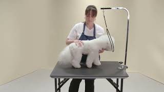 BASIC HANDLING TECHNIQUES FOR GROOMING DOGS  ANDIS [upl. by Nerhe]