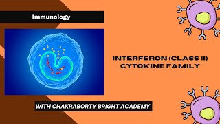 Interferon Class II Family of Cytokine [upl. by Wren]