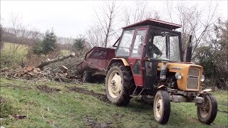 Dzień z życia na wsi  ścinanie drzewa trzydziestka w opałach i inne [upl. by Llennaj]