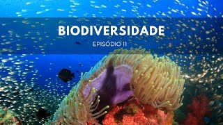 Biodiversidade  Origens 11 [upl. by Rednave]