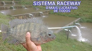 SISTEMA RACEWAY SUPERINTENSIVO DE PISCICULTURA POUCO CONHECIDO E O MAIS LUCRATIVO [upl. by Lucchesi]