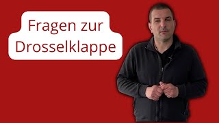 Fragen zur Drosselklappe bei einem Kaminofen [upl. by Frederiksen]