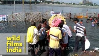 Idols of Lord Ganesha being immersed at river Yamuna during Ganapati visarjan  Delhi [upl. by Arba51]