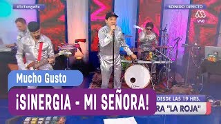 Radio Mucho Gusto  Sinergia Mi señora  Mucho Gusto 2017 [upl. by Loria]