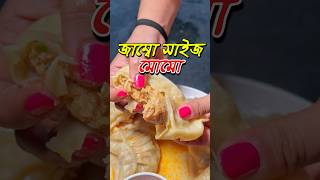 এতো বড় মোমো  foodshorts momos chinesefood hakkanoodles kolkatastreetfood foodie [upl. by Kacy589]