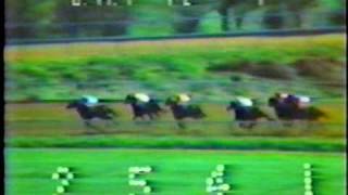 Alydar  1978 Blue Grass Stakes Full Race [upl. by Arhoz]