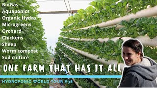 The smartest Hydroponic and Aquaponic Farm is in Israël  HWT 38 [upl. by Enerahs735]