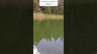 wakacyjny zębacz 😁 pikefishing fishing poland power [upl. by Riggins]