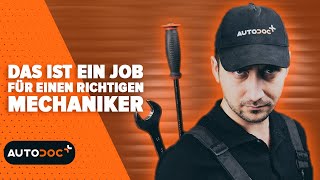 Das ist ein Job für einen richtigen Mechaniker  autodoc autohack [upl. by Hcirteid]