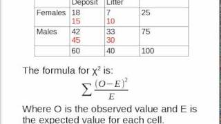 Simple Explanation of ChiSquared [upl. by Eciened416]