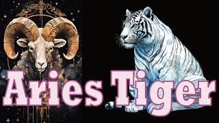 Aries Tiger Discussion [upl. by Karlee]