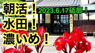 【水田商店】行きました。砥部町麻生愛媛の濃い〜ラーメンおじさん2023617県内743店舗訪問完了 [upl. by Norah613]