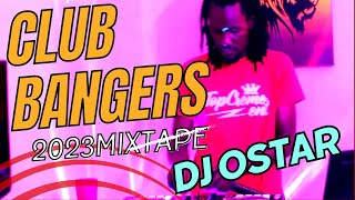 BEST OF CLUB BANGERS PARTY MIX  DJ OSTAR XX BIRTHDAY BASH EDITION [upl. by Damara]