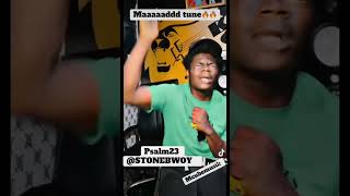 Psalm 23 Stonebwoy [upl. by Repotsirhc678]