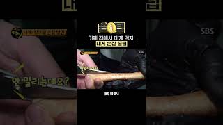 습팁📌 게 포크 없이 집에서 손쉽게 먹을 수 있는 대게 손질 방법 대방출😋  생활의 달인  SBS [upl. by Parsaye]