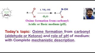 Oxime formation and pH of medium with reaction mechanism and use in Beckmann Rearrangement [upl. by Anai]