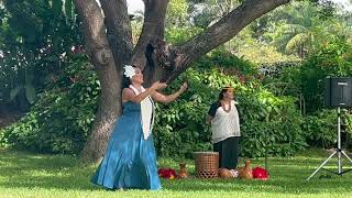 Aloha Aku Aloha Mai Hula at NTBG [upl. by Ggerg]