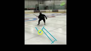 Video Analysis  Forward Stride Recovery [upl. by Twum953]