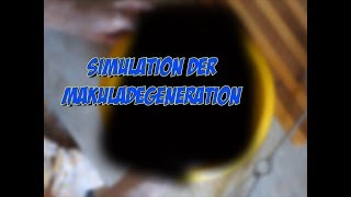 Erkrankungen der Augen  Simulation der Makuladegeneration [upl. by Eanehs]