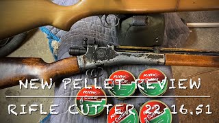 New pellet review Rifle Cutter sport 22 1651 gr head to head with the Crosman 101 and 1400 [upl. by Quintus]