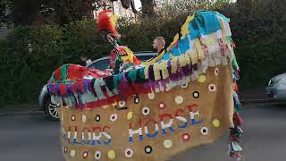 Minehead Hobby Horses Sailors and Baby Quay 2 May 2023 [upl. by Yazbak]