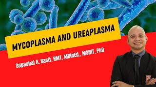 Mycoplasma and Ureaplasma [upl. by Eaner]