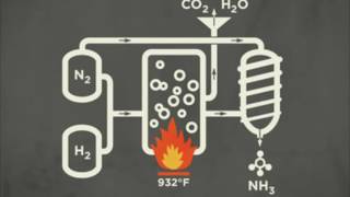 The Haber Bosch Process [upl. by Zaremski]