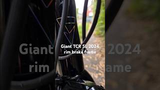 Giant TCR 2024 SL rim brake Frame fitness cycling beautiful [upl. by Llenehs374]