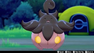 Pumpkaboo In Camp  Pokemon Sword amp Shield [upl. by Eniamart]